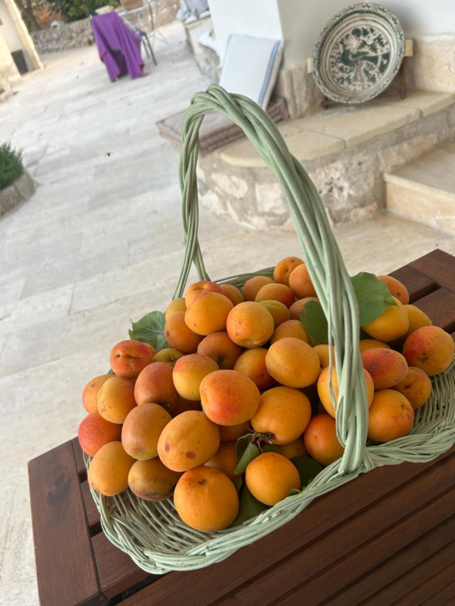 Il Trullo Di Simona Bed and Breakfast Locorotondo Εξωτερικό φωτογραφία