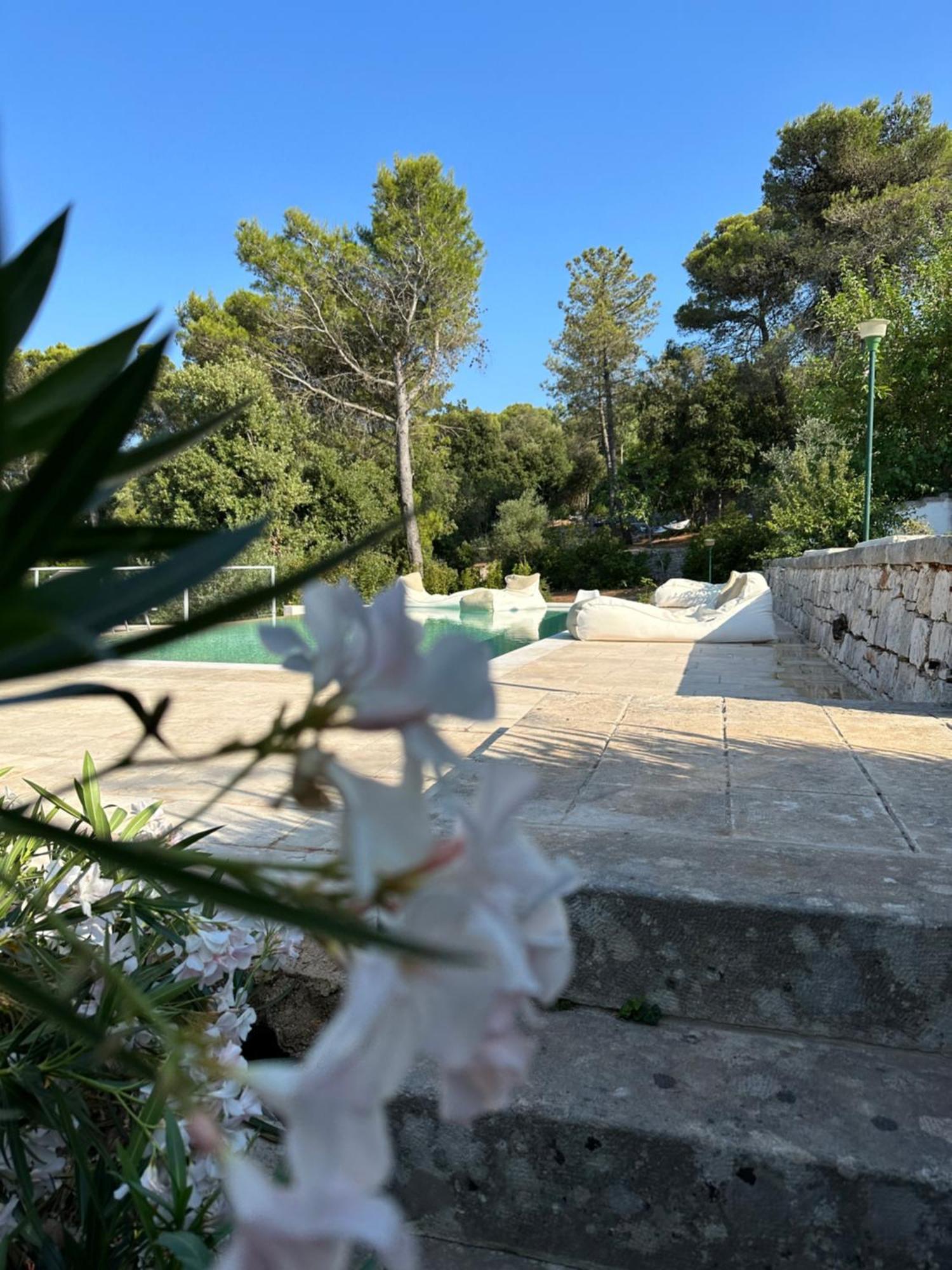 Il Trullo Di Simona Bed and Breakfast Locorotondo Εξωτερικό φωτογραφία