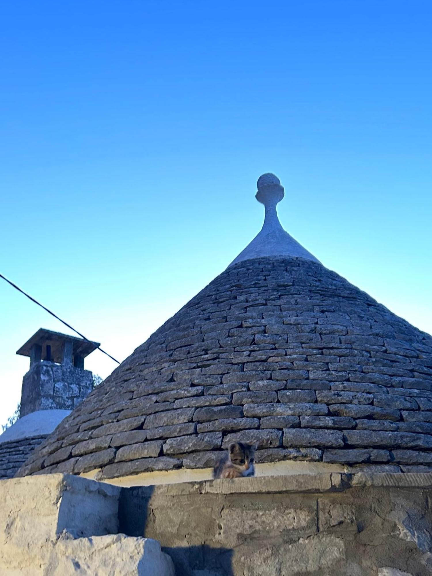 Il Trullo Di Simona Bed and Breakfast Locorotondo Εξωτερικό φωτογραφία